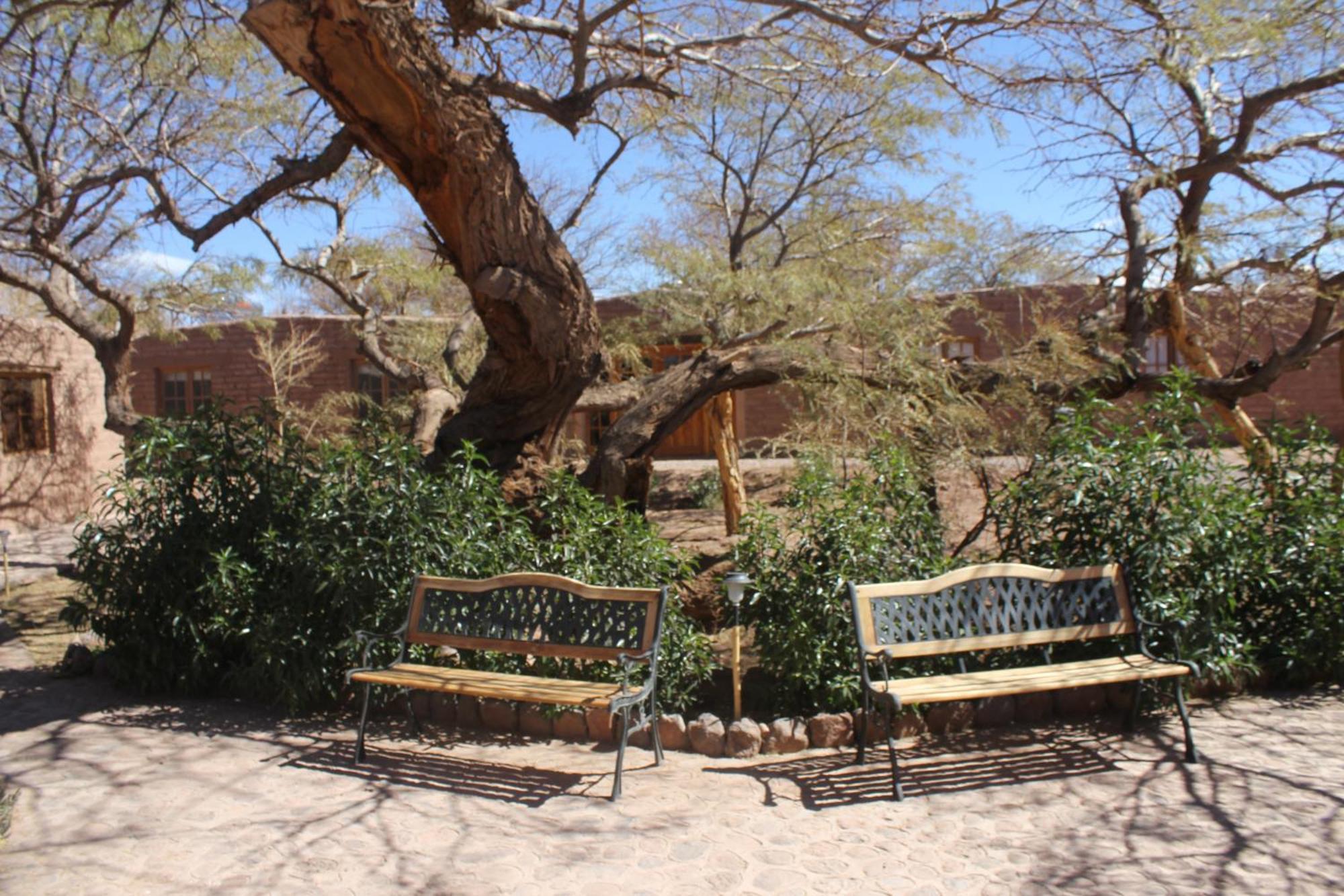 Hotel Casa Don Esteban ซานเปโดร เด อาตากามา ภายนอก รูปภาพ